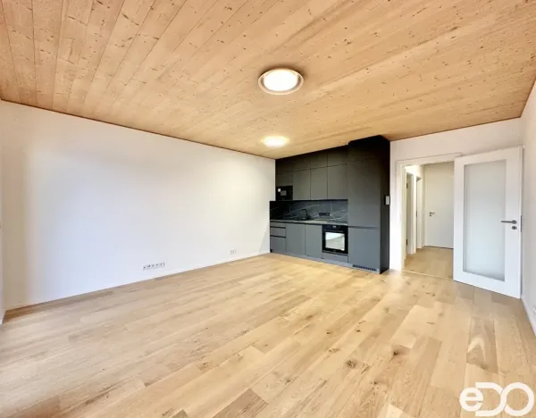 Pronájem bytu 1+kk, Praha, Ujgurská, 41 m2