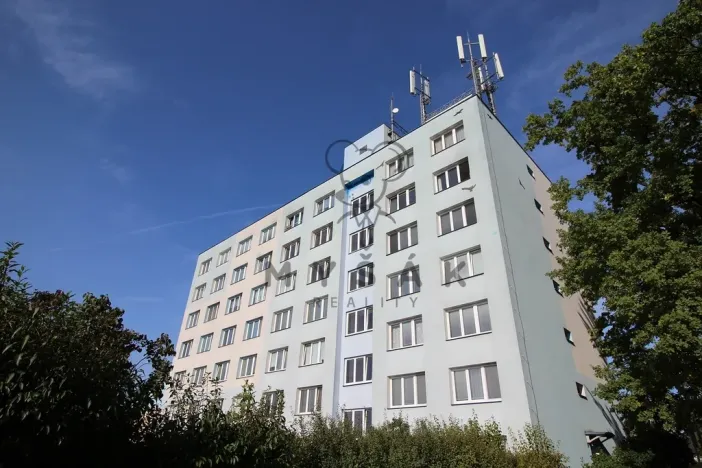 Prodej bytu 1+1, České Budějovice - České Budějovice 4, Rudolfovská tř., 46 m2