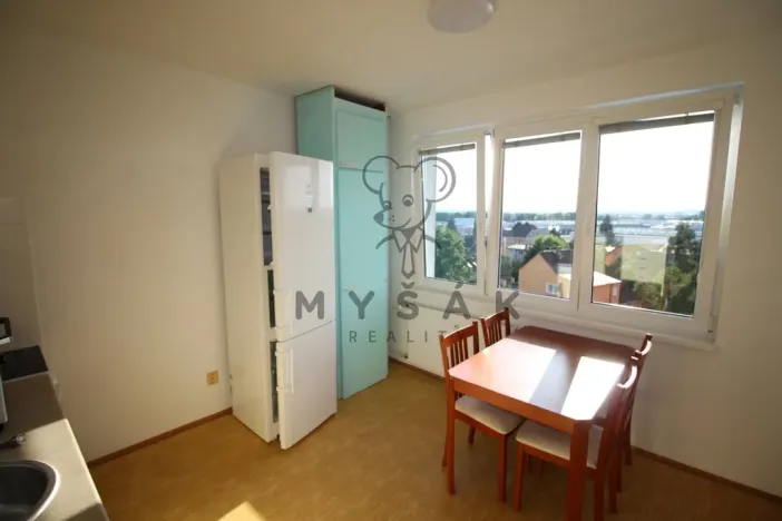 Prodej bytu 1+1, České Budějovice - České Budějovice 4, Rudolfovská tř., 46 m2