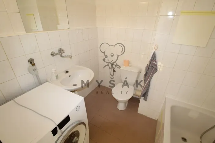 Prodej bytu 1+1, České Budějovice - České Budějovice 4, Rudolfovská tř., 46 m2