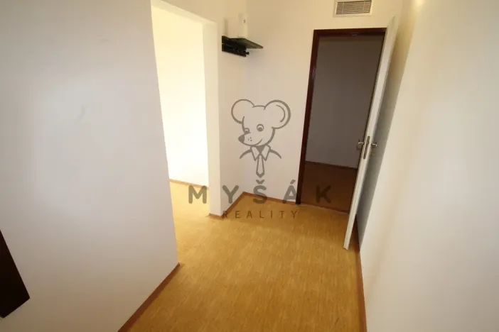 Prodej bytu 1+1, České Budějovice - České Budějovice 4, Rudolfovská tř., 46 m2