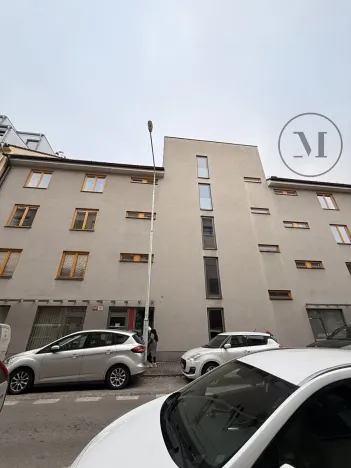 Pronájem bytu 1+1, České Budějovice, Riegrova, 55 m2