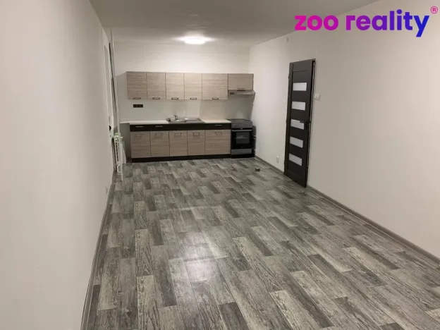 Pronájem bytu 2+kk, Litvínov - Horní Litvínov, B. Němcové, 52 m2