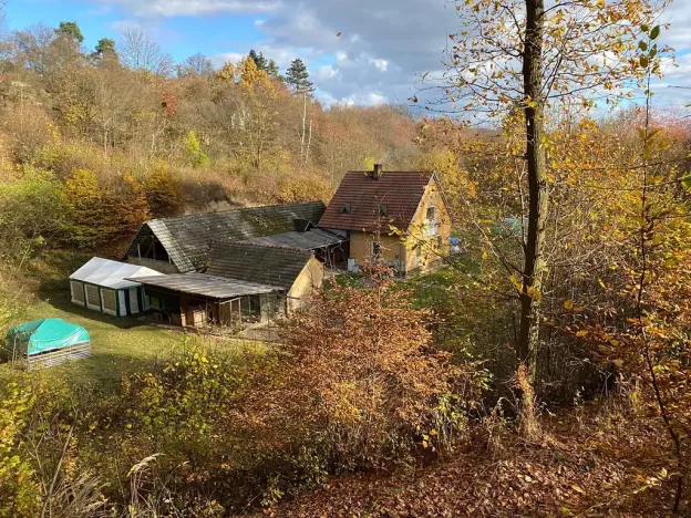 Prodej lesa, Jílové u Prahy, 14982 m2