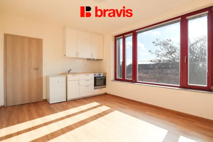 Pronájem bytu 1+kk, Brno, Francouzská, 22 m2