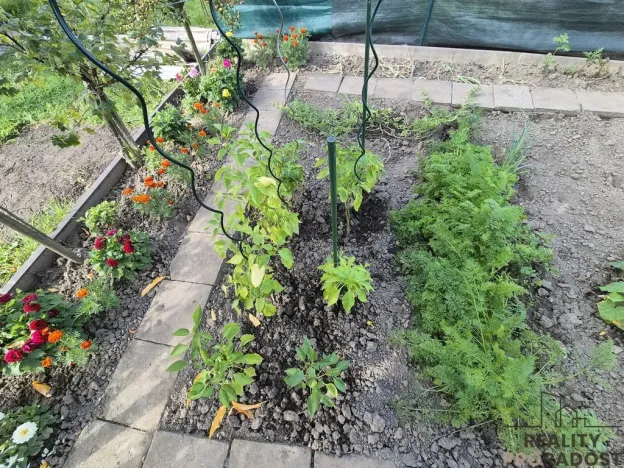 Prodej chaty, Třinec - Lyžbice, 15 m2