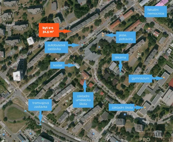 Pronájem bytu 1+1, Olomouc - Nová Ulice, I. P. Pavlova, 31 m2