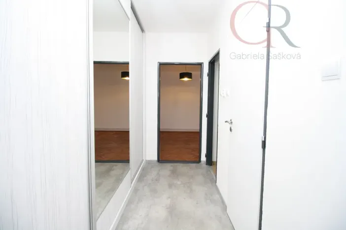 Prodej bytu 2+1, Plzeň - Východní Předměstí, Rychtaříkova, 51 m2