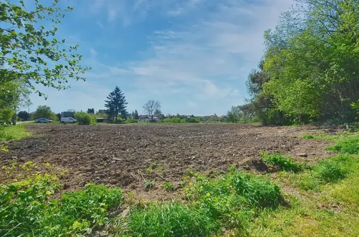 Prodej pozemku pro bydlení, Žáky, 1081 m2