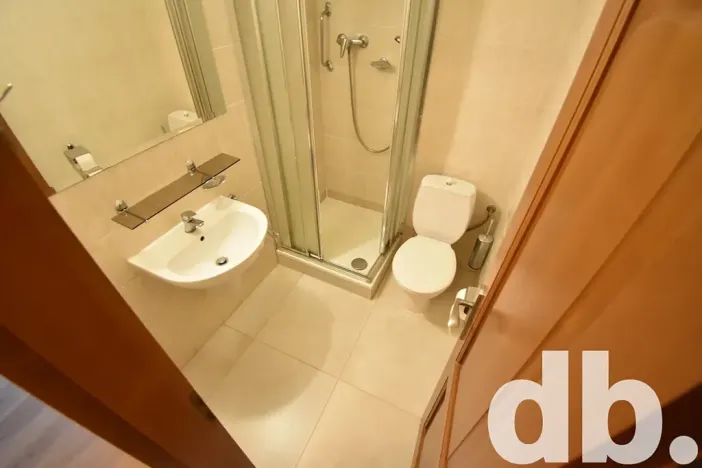 Pronájem bytu 2+1, Karlovy Vary, Vítězná, 54 m2