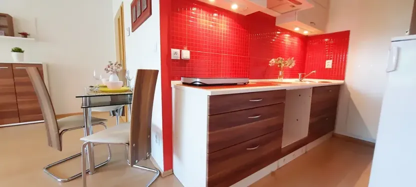 Pronájem bytu 1+kk, Brno, Šemberova, 48 m2