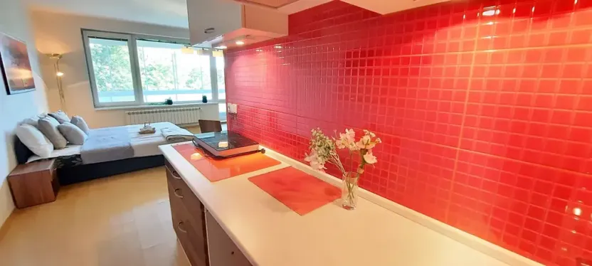 Pronájem bytu 1+kk, Brno, Šemberova, 48 m2