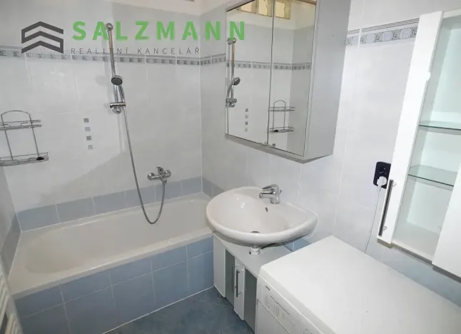 Pronájem bytu 2+1, Plzeň, Malesická, 50 m2