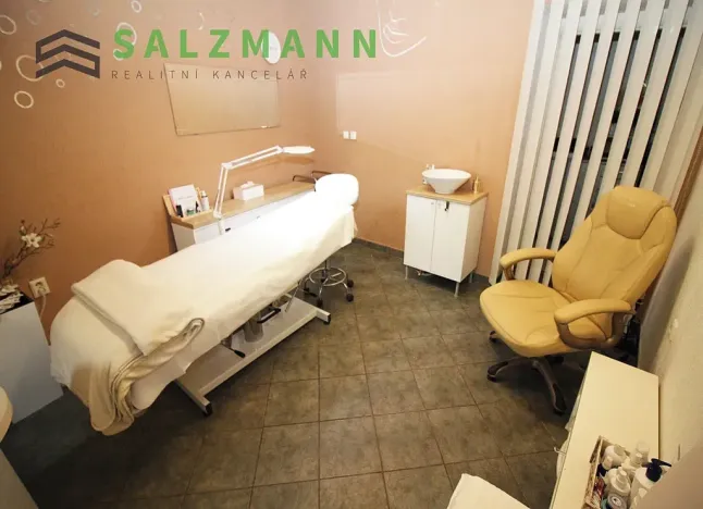 Pronájem obchodního prostoru, Plzeň, Bezručova, 15 m2