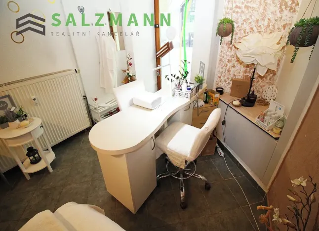 Pronájem obchodního prostoru, Plzeň, Bezručova, 15 m2