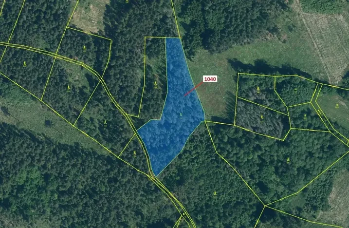 Dražba lesa, Hradiště, 6519 m2