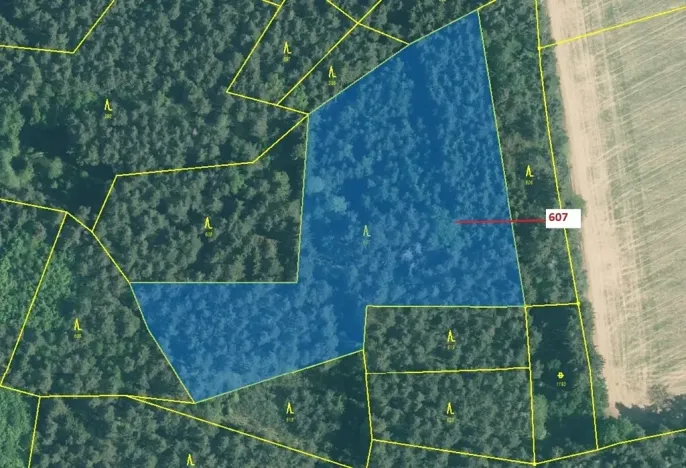 Dražba lesa, Kuřimany, 10437 m2