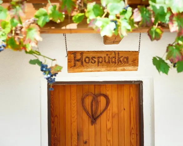 Prodej rodinného domu, Žabovřesky, 950 m2