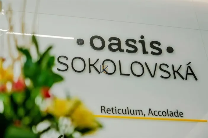 Pronájem kanceláře, Praha - Karlín, Sokolovská, 337 m2