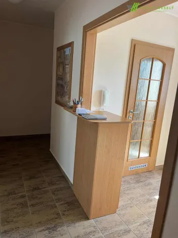 Pronájem komerční nemovitosti, Kyjov, Dobrovského, 45 m2