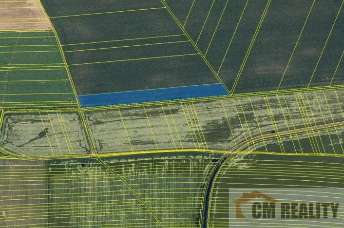 Prodej pole, Lešany, 15035 m2