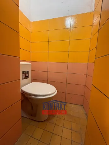 Pronájem obchodního prostoru, Týn nad Vltavou, Horní Brašov, 200 m2