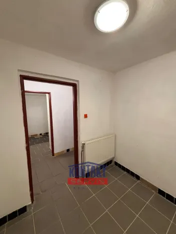 Pronájem obchodního prostoru, Týn nad Vltavou, Horní Brašov, 200 m2