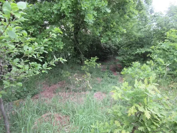 Prodej pozemku, Čížová, 2006 m2