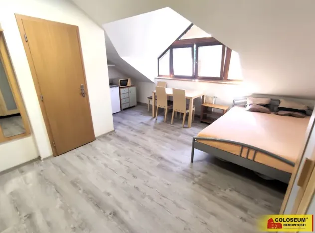 Pronájem bytu 1+kk, Brno, Palackého třída, 28 m2