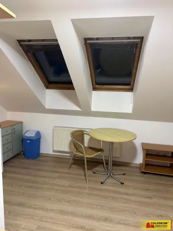 Pronájem bytu 1+kk, Brno, Palackého třída, 28 m2