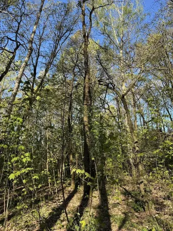 Prodej pozemku, Čížkov, 22012 m2