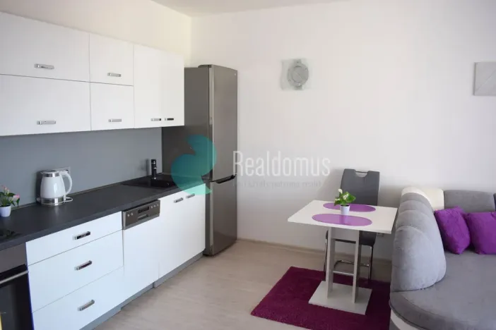 Pronájem bytu 2+kk, České Budějovice - České Budějovice 5, E. Beneše, 53 m2