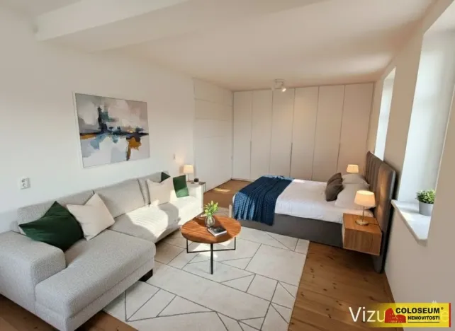 Pronájem bytu 1+1, Brno - Žabovřesky, 45 m2