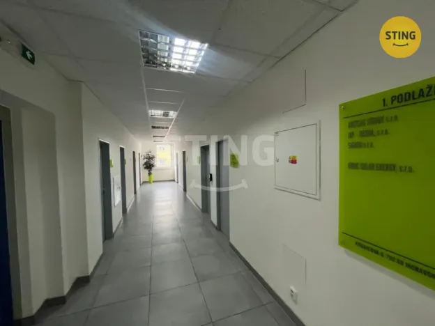 Pronájem kanceláře, Ostrava, Kounicova, 17 m2