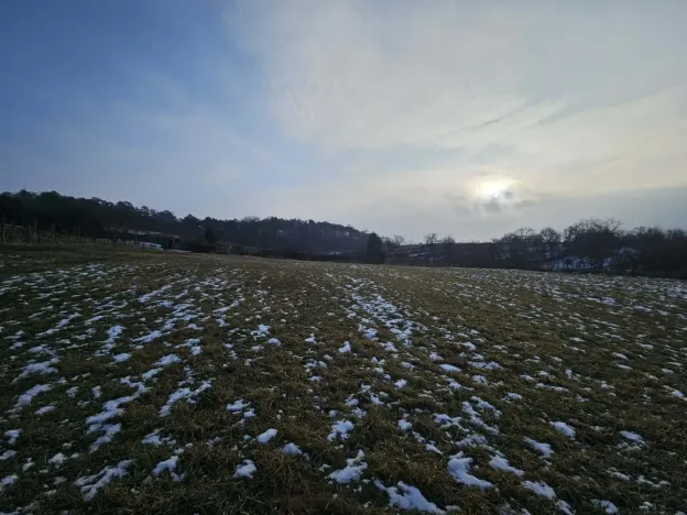 Prodej zahrady, Mikulov, Nová, 2627 m2