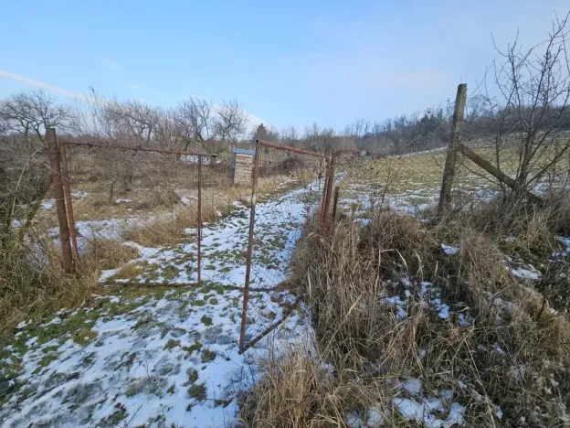 Prodej zahrady, Mikulov, Nová, 2627 m2