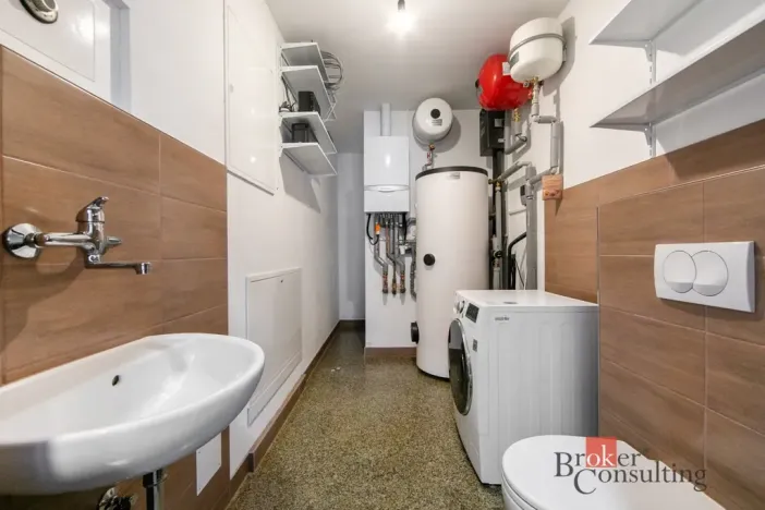 Prodej rodinného domu, Loket, Nad Hájovnou, 196 m2