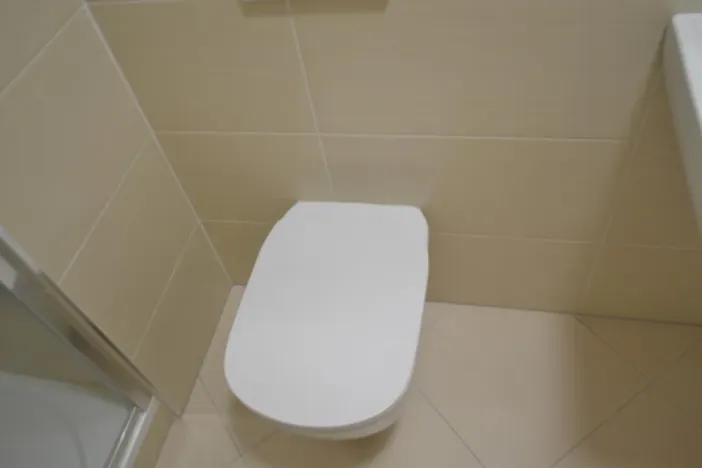 Prodej bytu 1+kk, Praha - Dolní Měcholupy, Františka Jansy, 30 m2