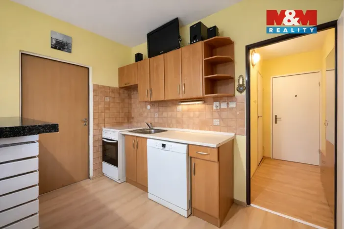 Prodej bytu 1+1, Plzeň - Skvrňany, Karla Steinera, 36 m2