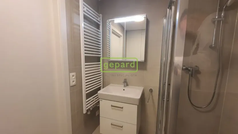 Pronájem bytu 1+kk, Praha, Kolbenova, 35 m2