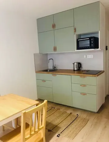 Pronájem bytu 1+kk, Praha - Vršovice, Kubánské náměstí, 25 m2
