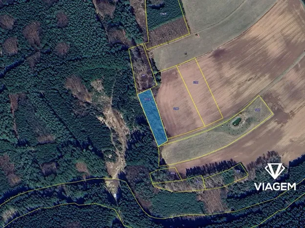 Prodej lesa, Konojedy, 3288 m2