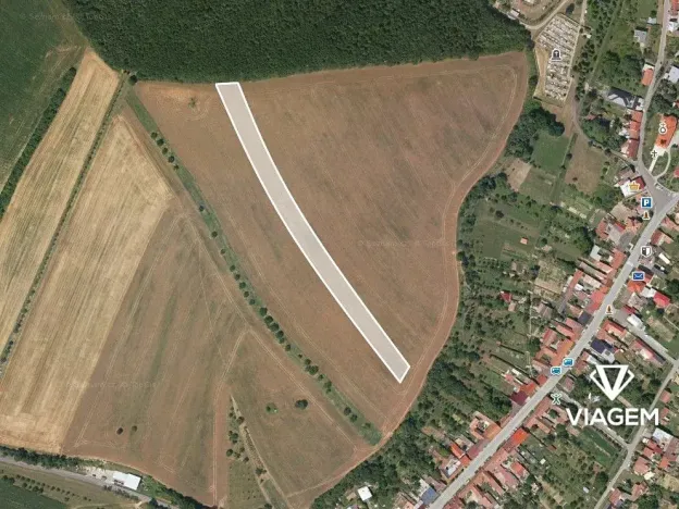 Prodej podílu pole, Lovčice, 4142 m2