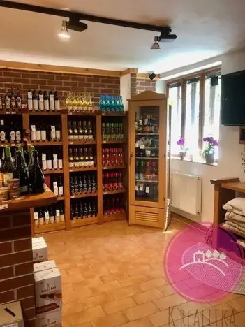 Pronájem obchodního prostoru, Olomouc, Karolíny Světlé, 55 m2