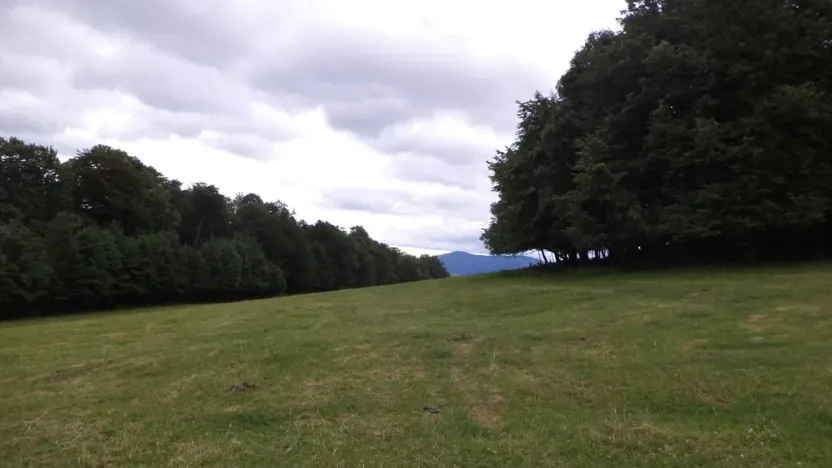 Prodej pozemku, Vlčice, 1566 m2