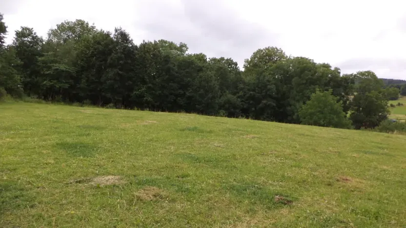 Prodej pozemku, Vlčice, 1566 m2