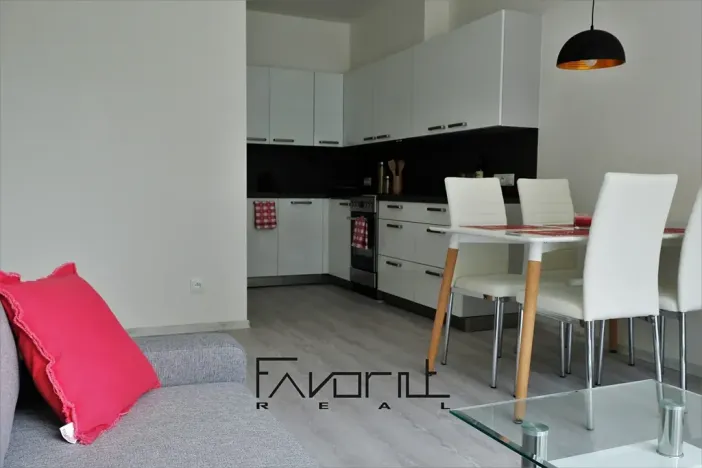 Pronájem bytu 2+kk, Ostrava, Pavlovova, 47 m2