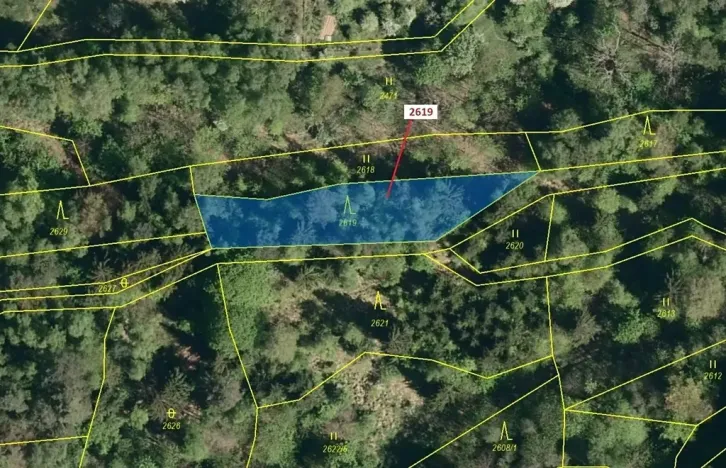 Dražba lesa, Zděchov, 867 m2