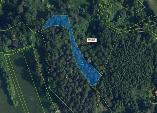 Dražba lesa, Český Dub, 2117 m2