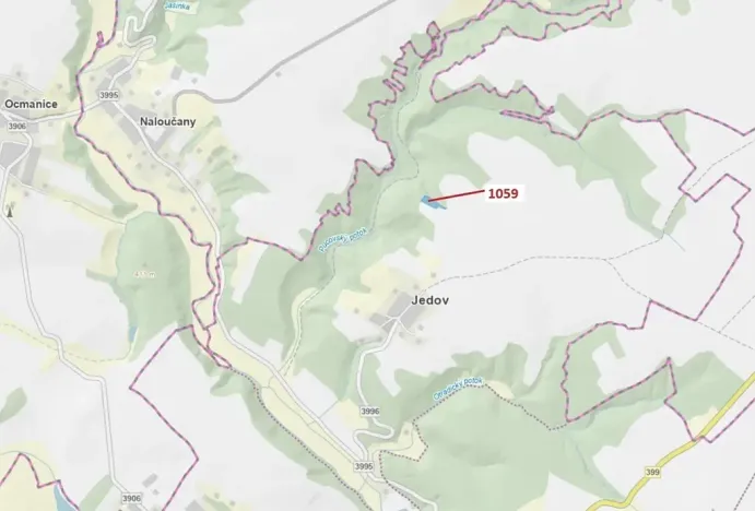 Dražba lesa, Náměšť nad Oslavou, 3646 m2